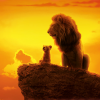 実写版「ライオンキング」ﾈﾀﾊﾞﾚ感想・映像の美しさにノックアウト！